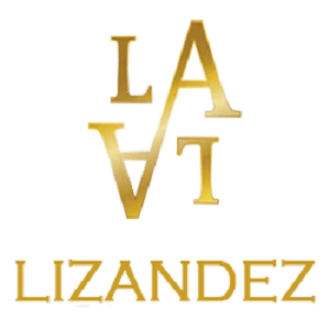 Lizandez Company Logo